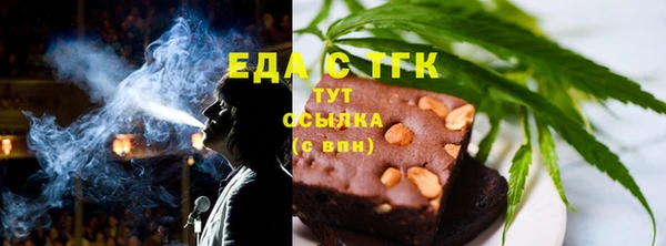 индика Горняк
