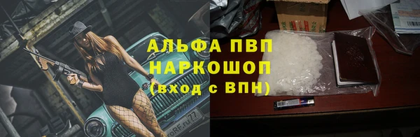 индика Горняк