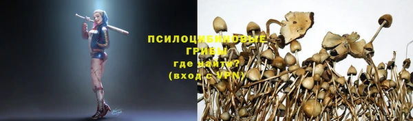 синтетический гашиш Горнозаводск