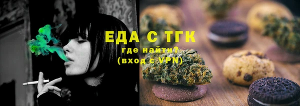 индика Горняк