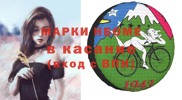 индика Горняк