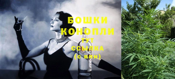 индика Горняк