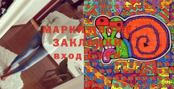 индика Горняк