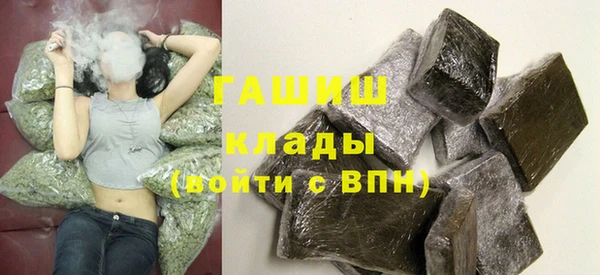 индика Горняк
