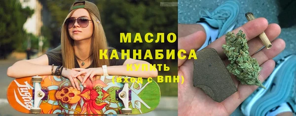 индика Горняк