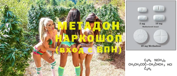 индика Горняк
