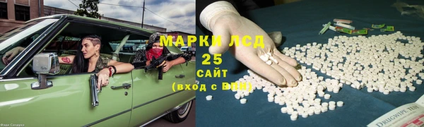 индика Горняк