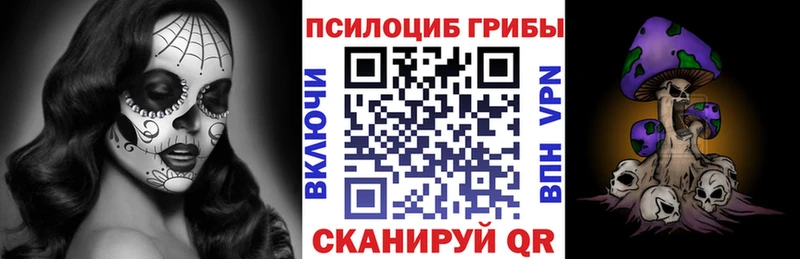 Купить где  Михайлов  Галлюциногенные грибы Cubensis 